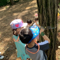 창의융합프로젝트