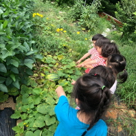 창의융합프로젝트