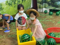 창의융합프로젝트